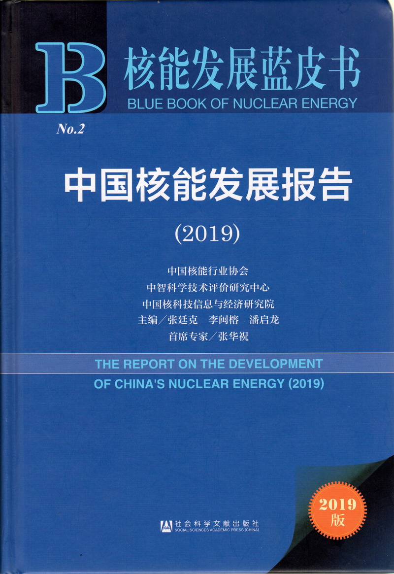 免费看哦太深了用力插视频软件啊用力插视频中国核能发展报告（2019）